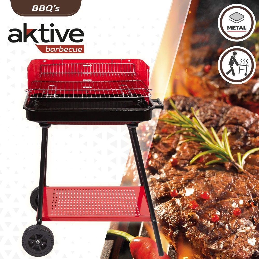 Active charcoal grill for 6 people