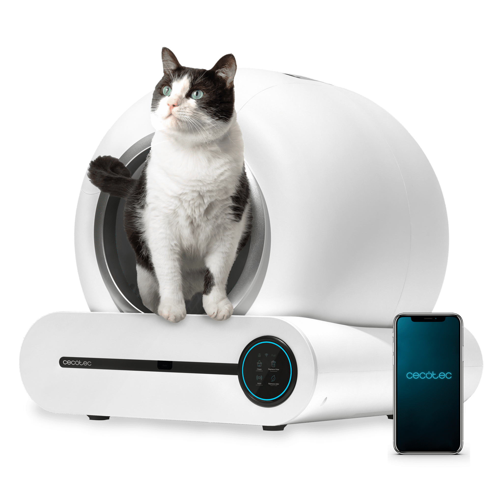 Pumba 8000 CleanKitty Smart