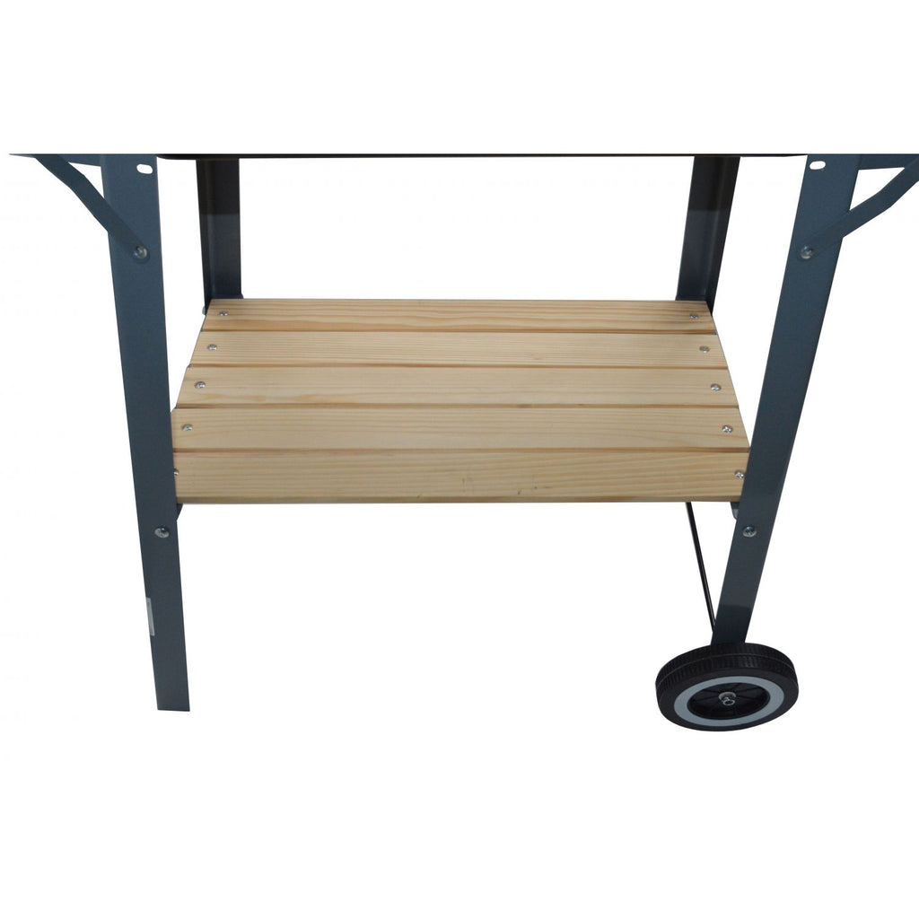 Charcoal and Stainless Steel Grill Buffalo Design