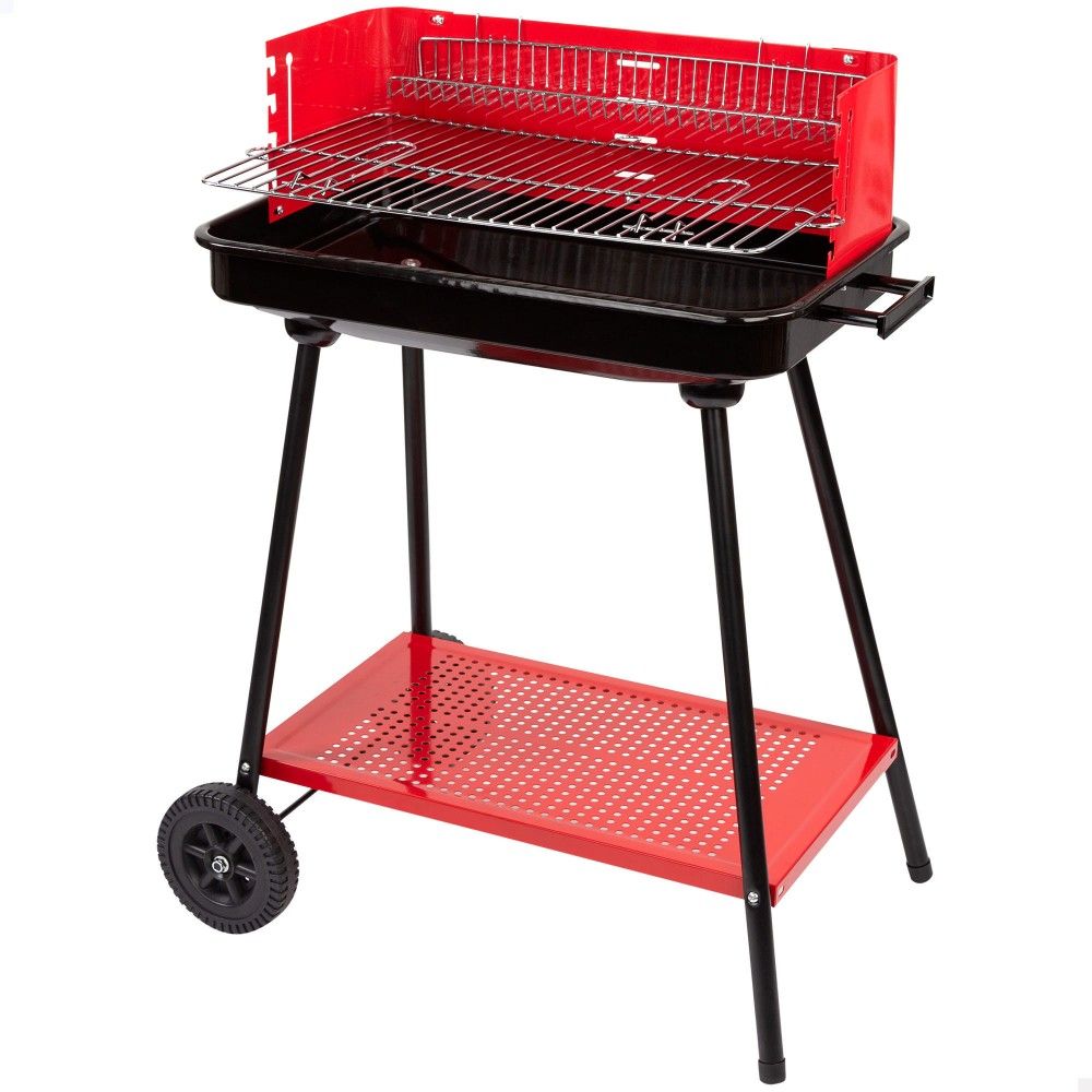 Active charcoal grill for 6 people