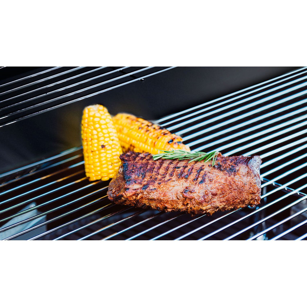 Barbacoa De Gas Con 2 Quemadores